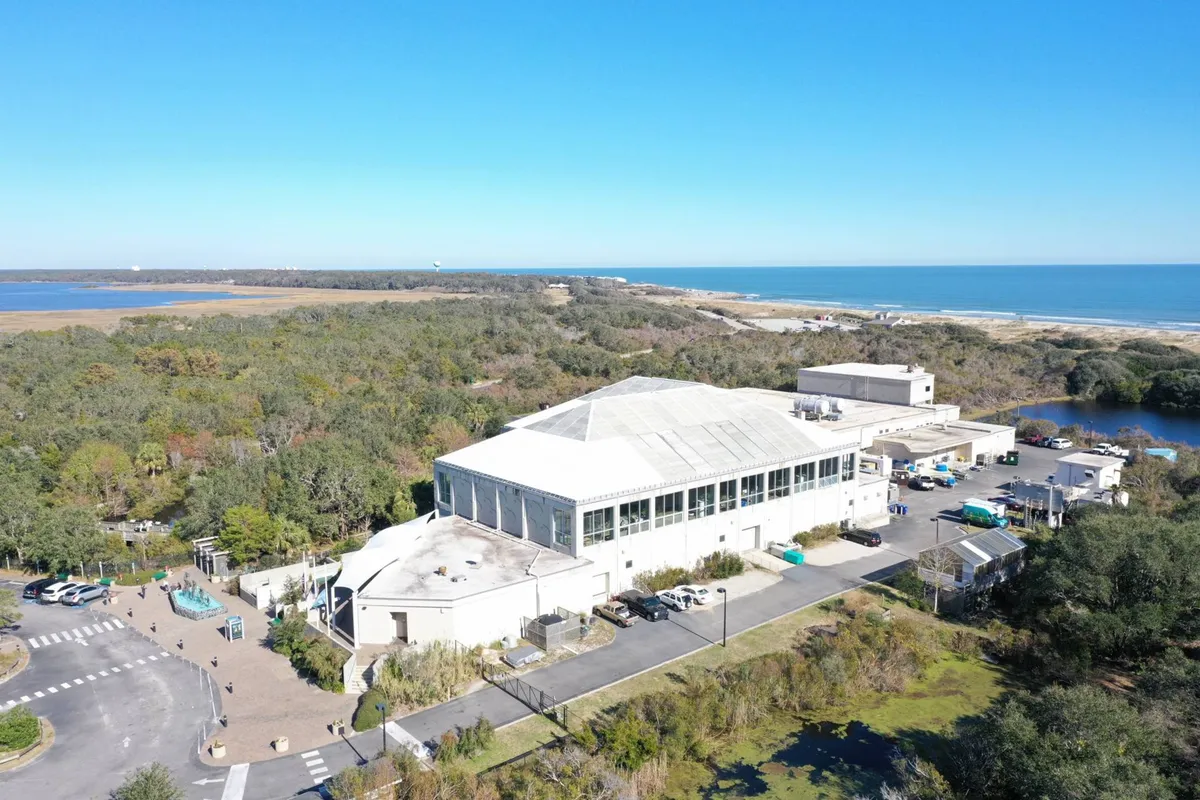 A wide exterior view of a large building set against the backdrop of the ocean and greenery, with a nearby parking area. The open environment suggests possibilities for events, wildlife encounters, and communal gatherings.