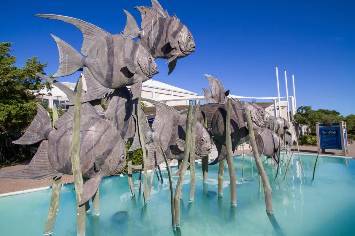 An exterior shot of whimsical metallic fish sculptures set among water features and lush greenery. The installation invites visitors to linger, appreciate art, and snap photos in a playful, nature-connected setting.